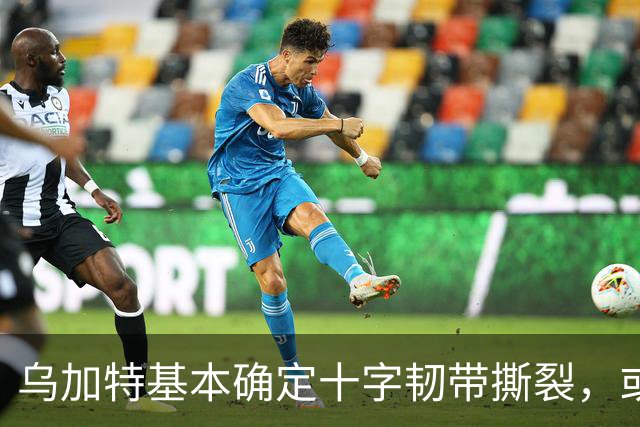 乌加特基本确定十字韧带撕裂，或迫使曼联买人！若伤缺一年可获赔500万