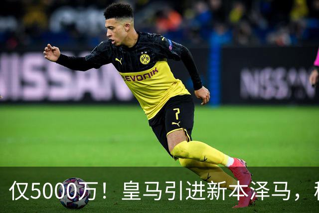 仅5000万！皇马引进新本泽马，穆帅4231战术升级，瞄准西甲欧冠双冠