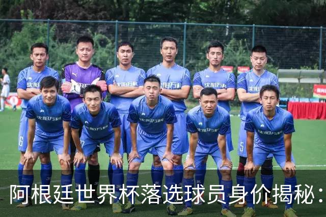 阿根廷世界杯落选球员身价揭秘：谁才是价值最高的遗珠？