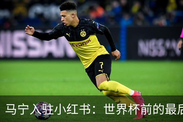 马宁入驻小红书：世界杯前的最后冲刺与训练动态揭秘